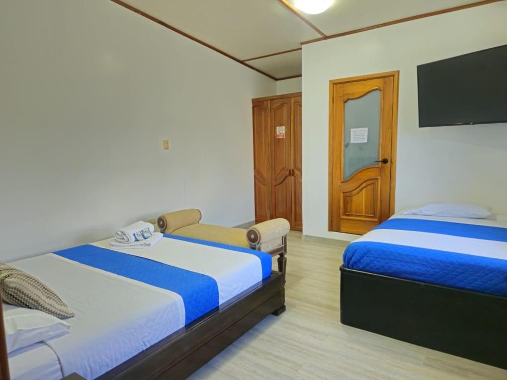 Flightless Cormorant Guest house