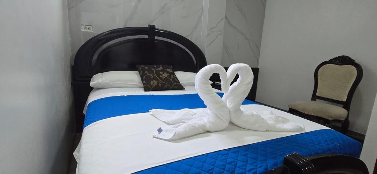 Guest house Flightless Cormorant *