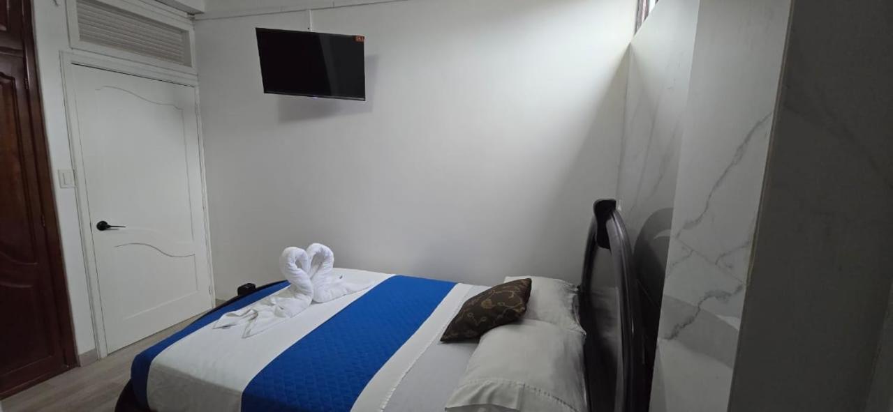 Guest house Flightless Cormorant *